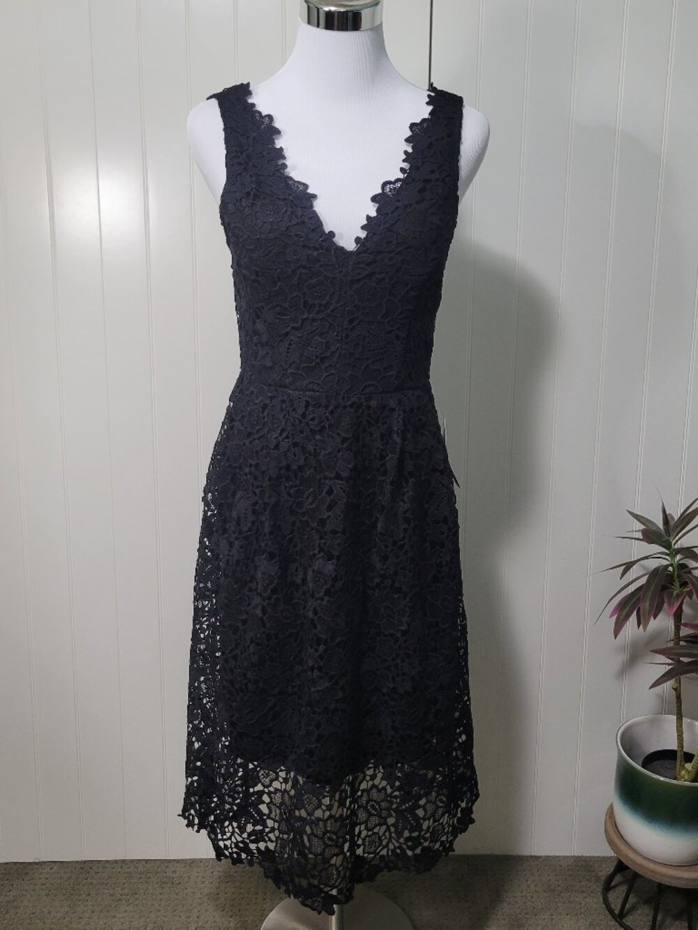 ASTR NWT Black Whimsigoth Witch Dark Romantic Goth Fit & Flare Lace Midi Dress M